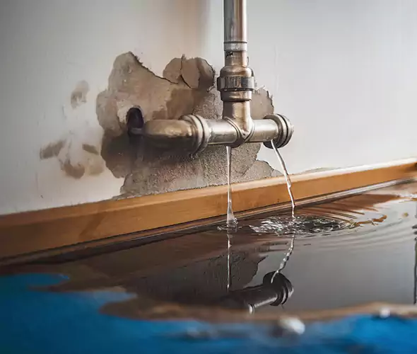 Professional Water Damage Restoration Experts in Freeport, NY — Fast, Reliable & Certified