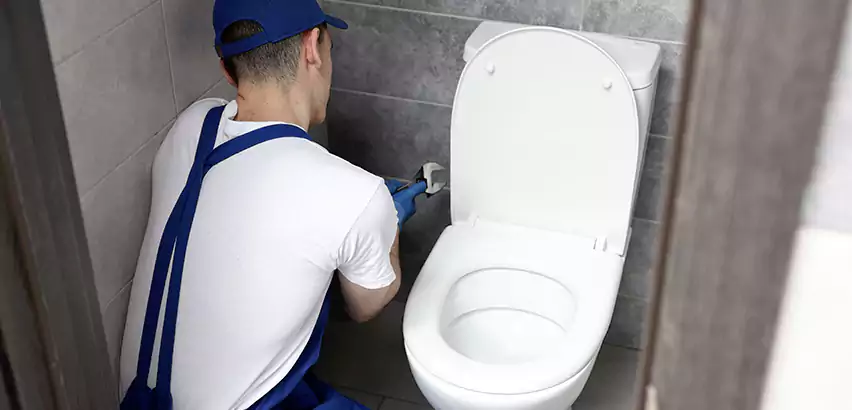 Toilet Lid Replacement in Freeport